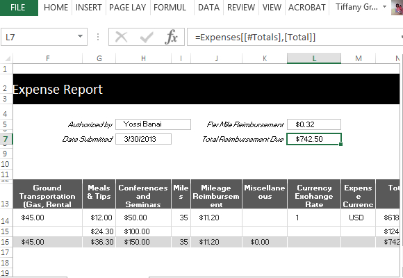 travel and expense reports