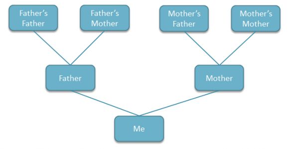 Create A Family Tree Chart Powerpoint 2007