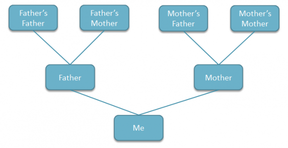 create family tree chart