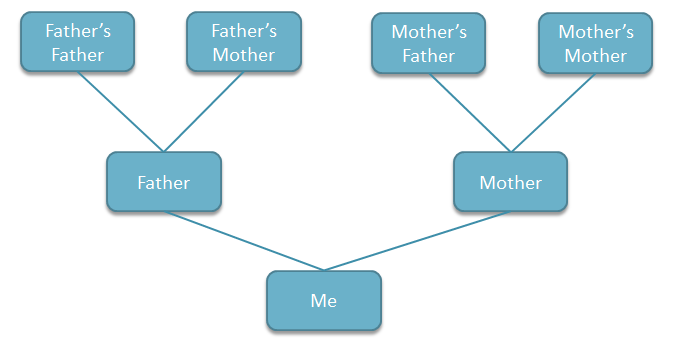 how to create a family tree in powerpoint using shapes