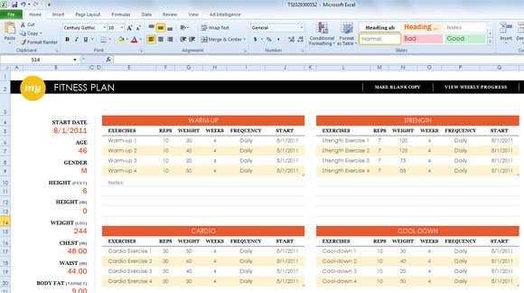 Simple Sport Templates For Microsoft Excel