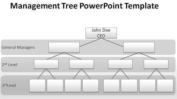 Blank Company Organizational Chart