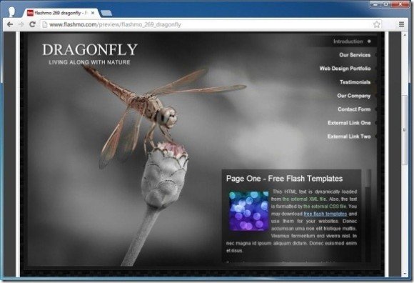 flashmo 269 dragonfly free flash template jpg fppt