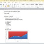 free-business-marketing-plan-template-for-word-2007-1