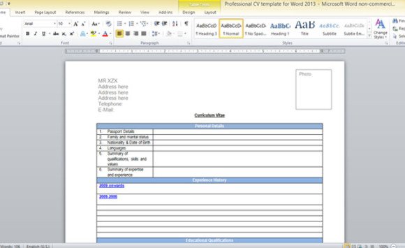 professional cv template for word 2013