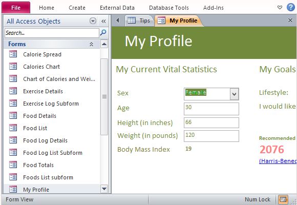 access recipe database template