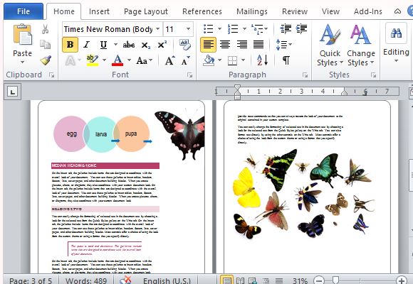 Student Report Template For Word Make Your Reports Stand Out With Colorful Erflies