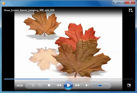 animated falling leaves powerpoint template fall leaves background powerpoint
