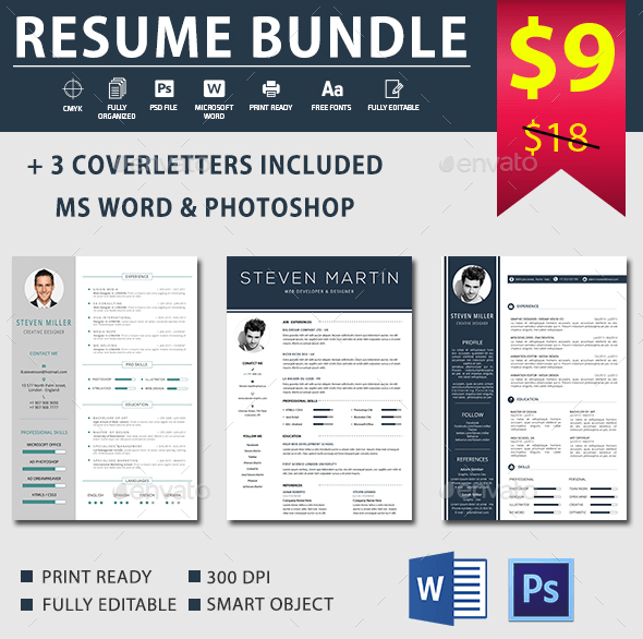 top 11 professional resume templates for making the perfect resume