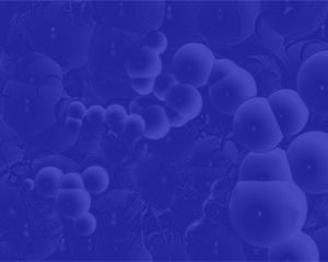 Blue Cells Power Point Template