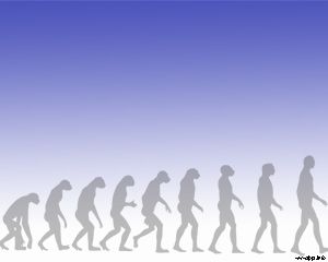 Evolución Humana PPT