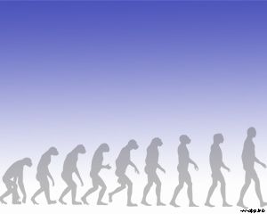 evolución del hombre PPT