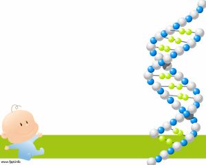 ADN Prueba de Paternidad PPT Template