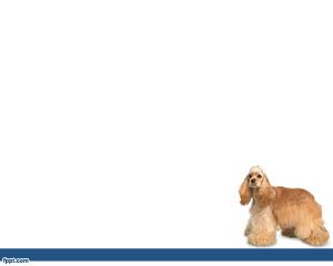 Cocker spaniel inglés PPT PPT Template