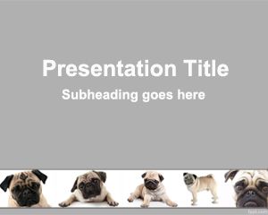 Plantilla PowerPoint de Perro Pug PPT Template
