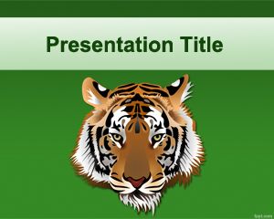 tigre ppt