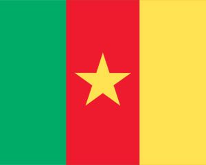 Cameroon Flag