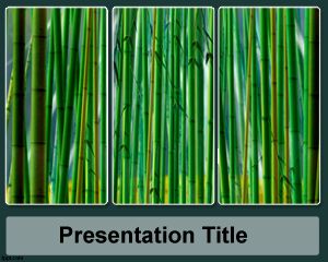 Sugar Cane PowerPoint Template PPT Template