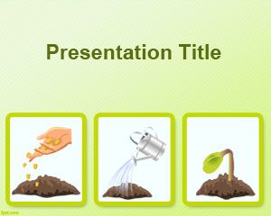 Seed germination process PowerPoint Template PPT Template