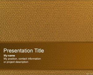 Leather PowerPoint Template PPT Template