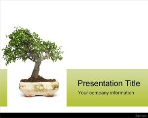 Bonsai PowerPoint Template PPT Template