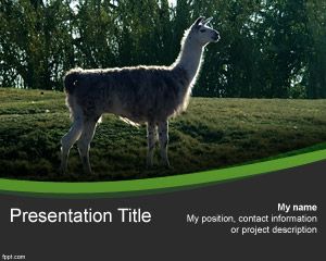 Andean Animal Powerpoint Template
