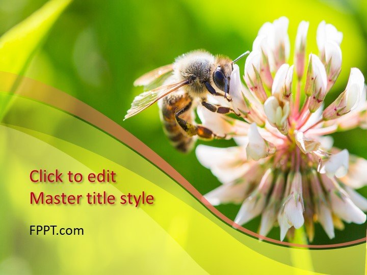 Free Bee PowerPoint Template - Free PowerPoint Templates free-bee-powerpoint-template-free-powerpoint-templates
