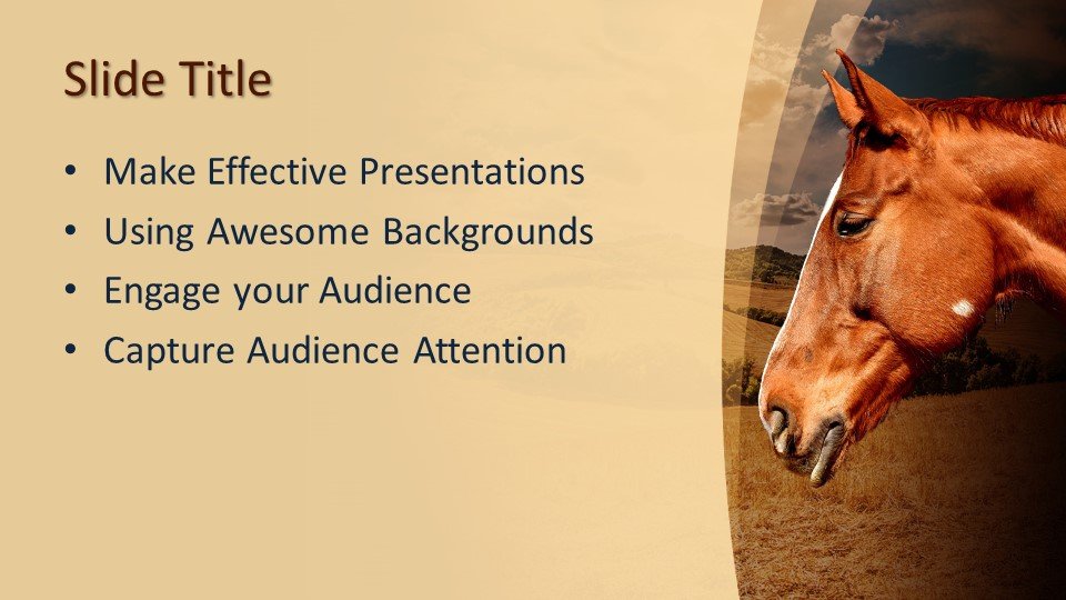 free powerpoint design templates