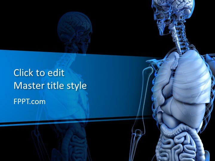 Free Skeleton PowerPoint Templates free-skeleton-powerpoint-templates