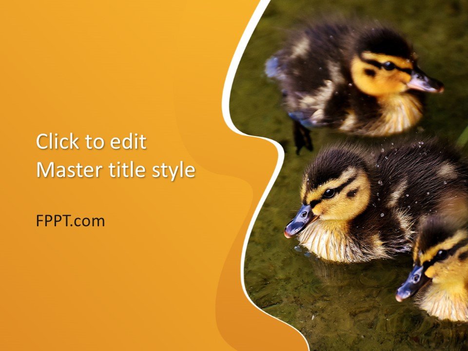 Free Duck PowerPoint Templates free-printable-farm-duck-template-simple-mom-project