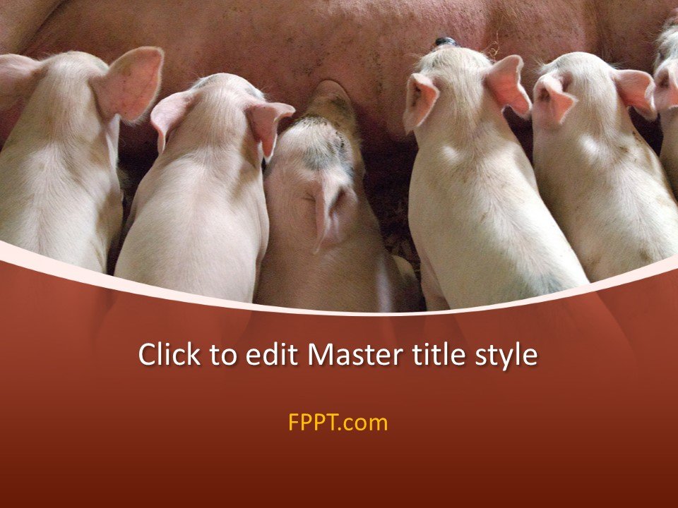 Free Animals PowerPoint Templates Free Animals PowerPoint Templates