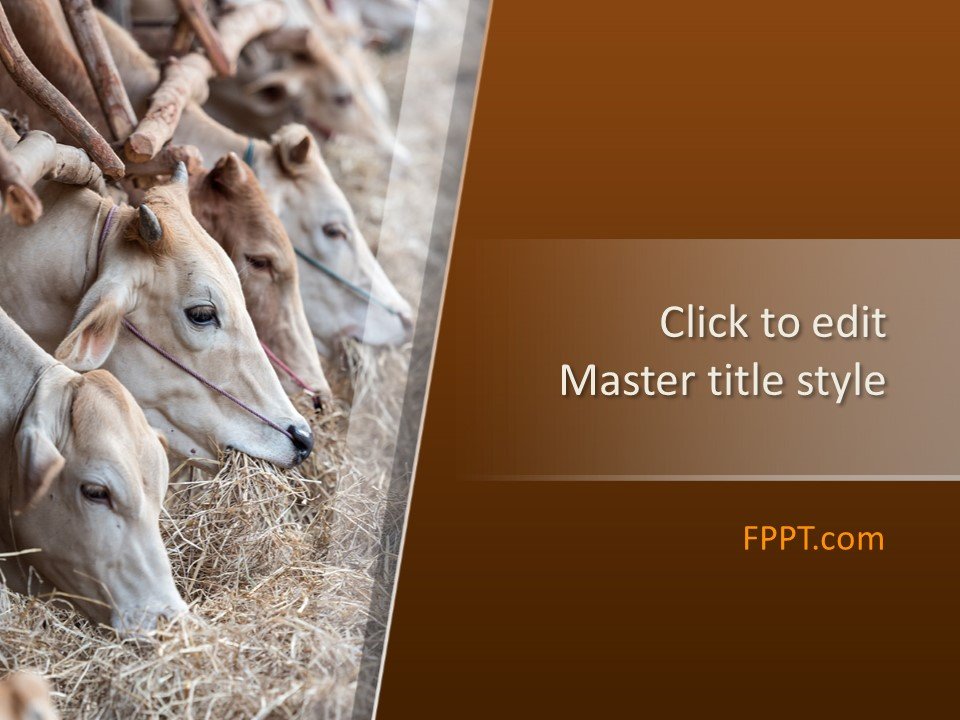 Free Livestock PowerPoint Templates Free Livestock PowerPoint Templates