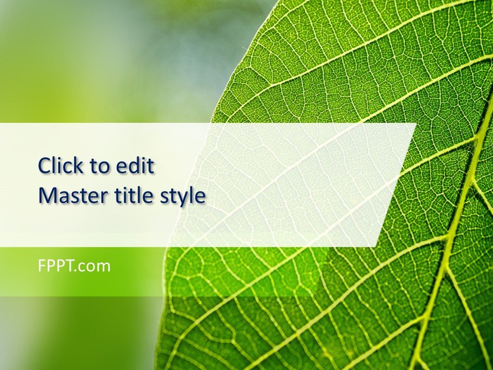 Leaves PowerPoint Templates