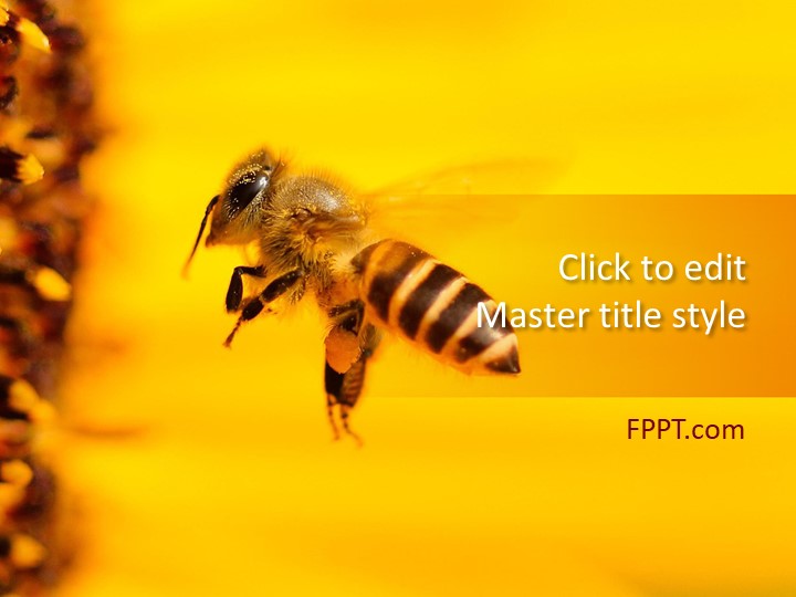 Free nature powerpoint templates